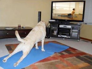 Yoga @.jpg