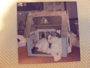 doll house.JPG