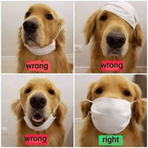 rightwrongmasks.jpg