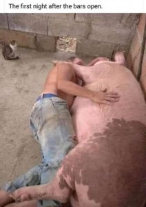 barsopen.jpg