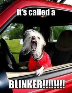 blinker.jpg