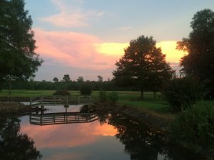 BD221765-02B7-4481-B102-46D6D13F9194.jpeg