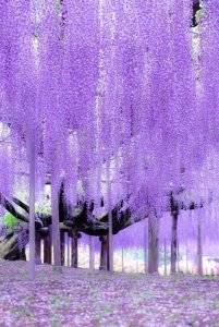 889F5D2A-3E13-466D-AE4D-892A54FF0D6D.jpeg