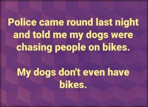 Afternoon Funny Meme Dump.jpeg