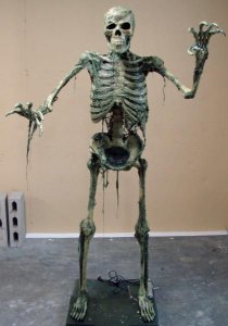 skeleton.jpg