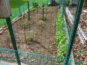 garden.JPG garden.JPG