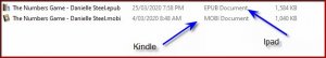 epub.jpg