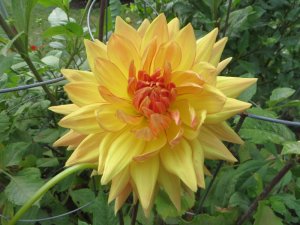 IMG_3883.JPG