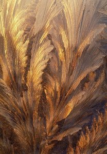tumblr_a462276db8ea66cf07a3745d1e811020_b02d1d70_500.jpg