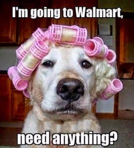 goingtowalmart.jpg