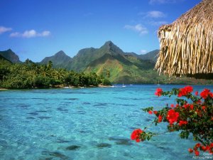 summerocean1.jpg