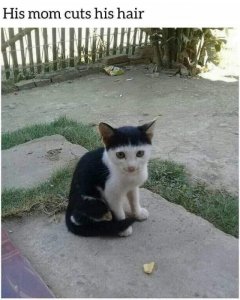 momcutshair.jpg