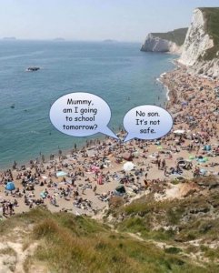 beachsafe.jpg