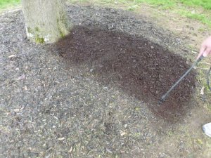 difference in mulch.JPG