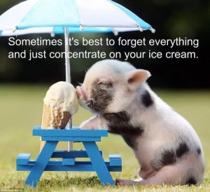 concentrateonicecream.jpg
