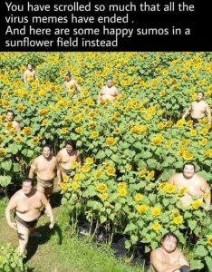 103094424_3203081473117840_8364533922326904832_n.jpg