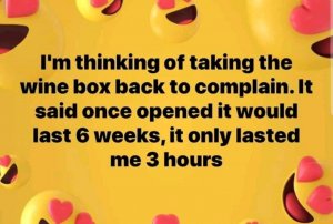 FB_IMG_15913103645276133.jpg