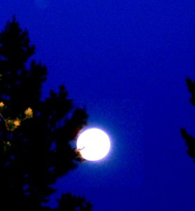 moon tonight.jpg 2.jpg