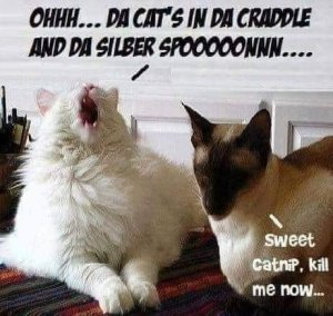 sweetcatnipkillme.jpg