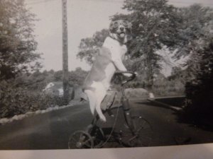 toby on bike.JPG