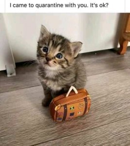 FB_IMG_15913954902147733.jpg