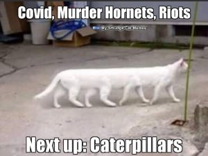 E1E8C106-96BB-4876-96AF-A5486A8C613E.jpeg
