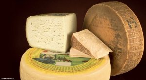 original_Asiago-cheese-TP.jpg