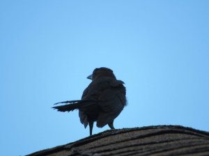 3E54D31B-C87D-4A72-8981-D9A8AD50D4B4.jpeg