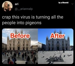 5EC6F86A-A2D6-49AC-A79B-38E15CD087A0.jpeg
