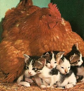 Mothering @.jpg