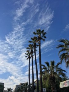 IMG_1020.JPG