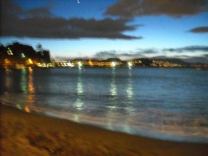 DSCN0376.JPG