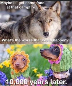 10000yrslaterdogs.jpg