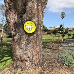 Seen Around Strath.jpg