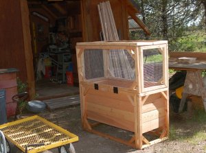 raised bed.JPG