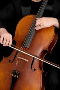 bowed-string-instrument-cello-cello-bow-close-up-462510.jpg