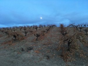 IMG_1770.JPG