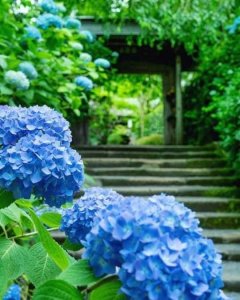blue stuff 12.jpg
