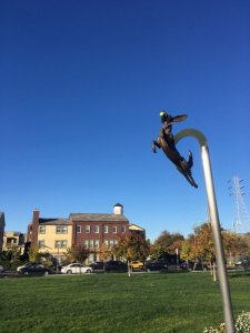 IMG_0369.JPG