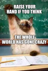 worldhasgonecrazy.jpg