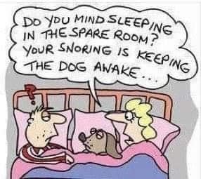 dogawake.jpg