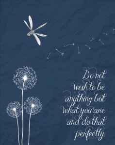 5a4df597275256709a6e7799994fedc6[1].jpg