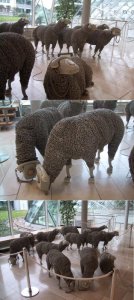 Phone Cord Sheep copy.jpg