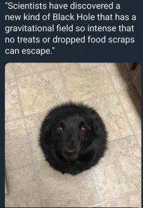 C72F845B-F1E5-448D-BBA7-5982321E70E8.jpeg