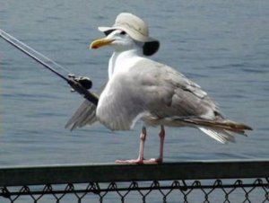Fishing @.jpg