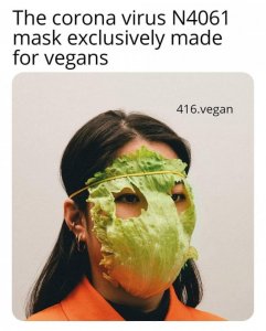 vegan-face-mask.jpg