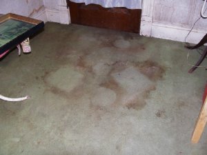 floor.jpg