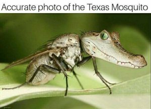 29597424_1642074659221100_7172441173703618550_n[1].jpg