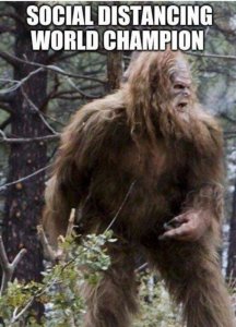 bigfoot.jpg