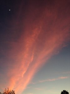 IMG_3646.JPG